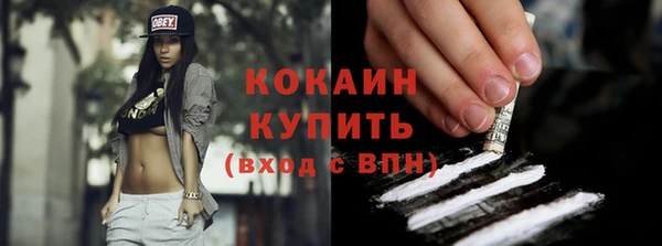 ПСИЛОЦИБИНОВЫЕ ГРИБЫ Бородино