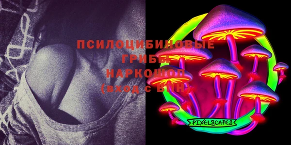 шишки Богданович