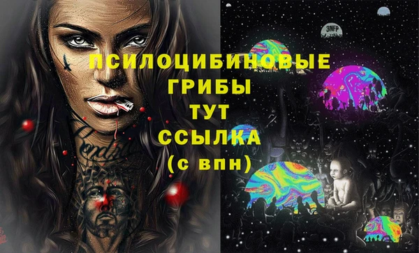 ПСИЛОЦИБИНОВЫЕ ГРИБЫ Бородино