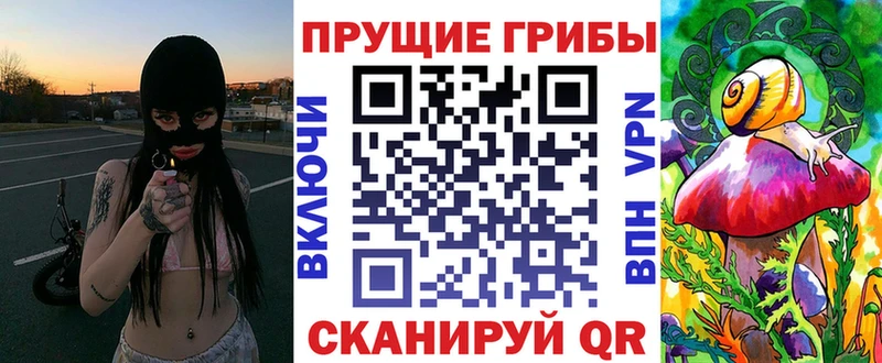 это клад  Моздок  Галлюциногенные грибы GOLDEN TEACHER 