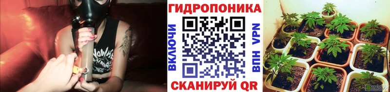 Бошки марихуана MAZAR  магазин    Моздок 